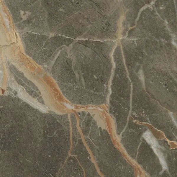 Riscal Pulido Marble Polished 60cm x 60cm Wall & Floor Tile
